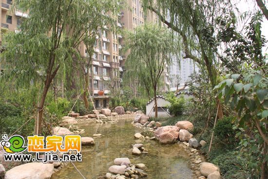 阿爾卡迪亞小區(qū)內(nèi)部景觀實景
