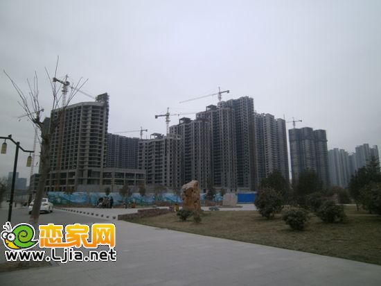 項目實景