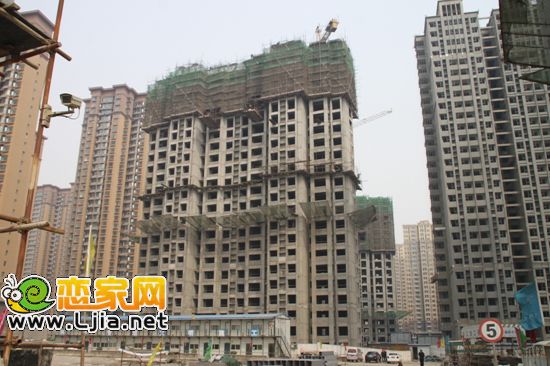 15#實(shí)景圖