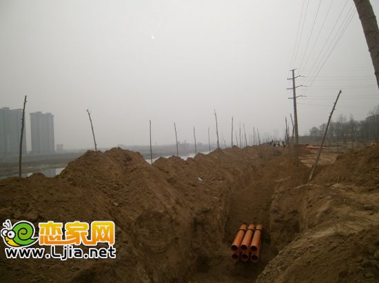湖畔正在鋪設(shè)管道及中的樹苗