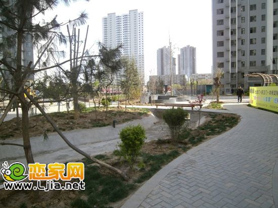 旺角花園小區(qū)內(nèi)一角