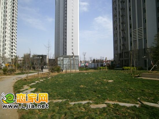 旺角花園小區(qū)內(nèi)草坪