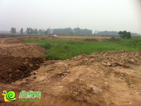 安聯(lián)·德國印象地面勘探實景圖