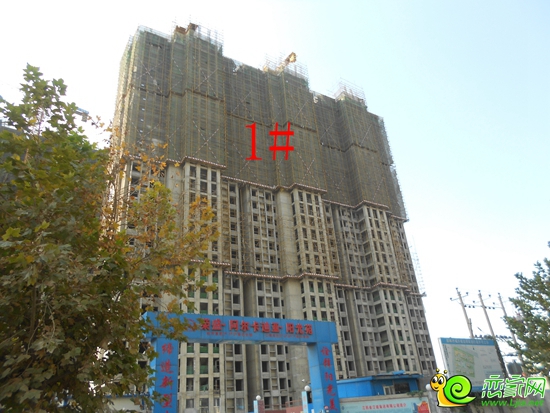 阿爾卡迪亞陽光苑1#工程進度