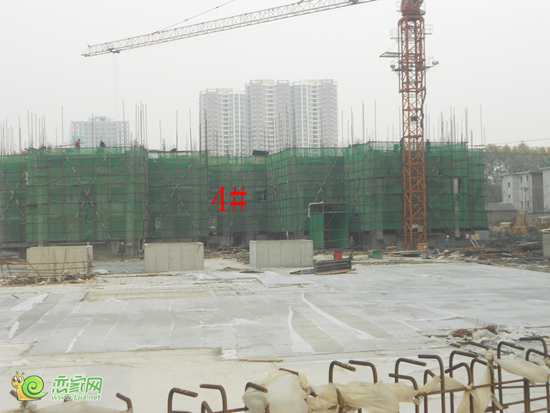 金世紀(jì)花園項(xiàng)目進(jìn)度圖