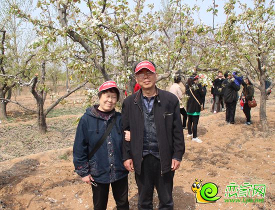 “暢游梨鄉(xiāng)共享梨園春”榮盛社區(qū)千人游梨園活動
