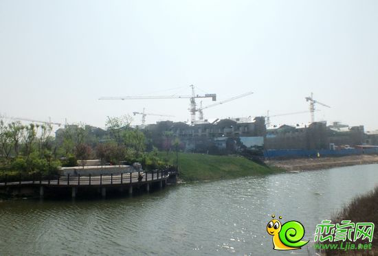 紫岸實(shí)景圖