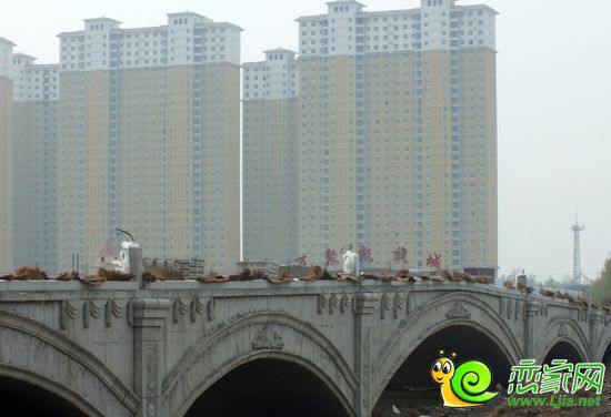 萬(wàn)聚凱旋城實(shí)景圖