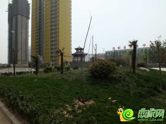 萬(wàn)聚凱旋城實(shí)景圖
