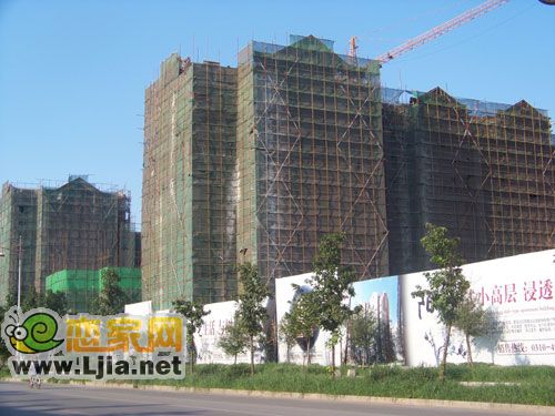 綠樹(shù)林楓樓體