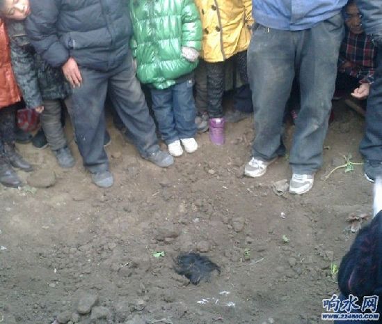 圖為孫某4歲的女兒