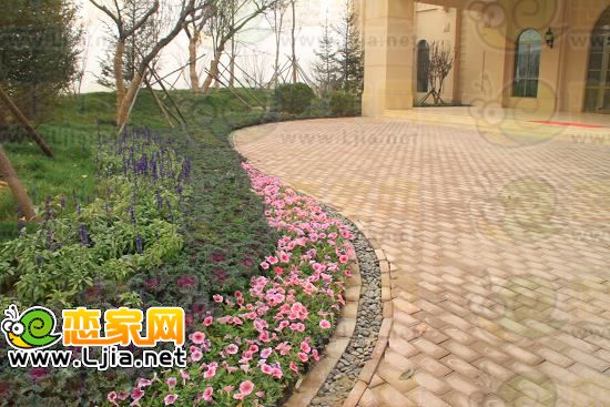 月亮灣售樓部門口的綠化