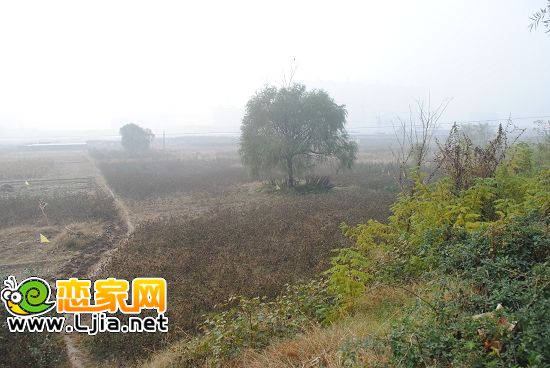 趙都華府工地
