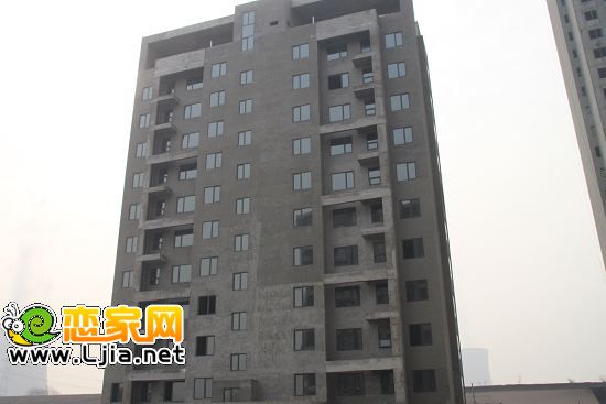 安聯(lián)水晶坊工地