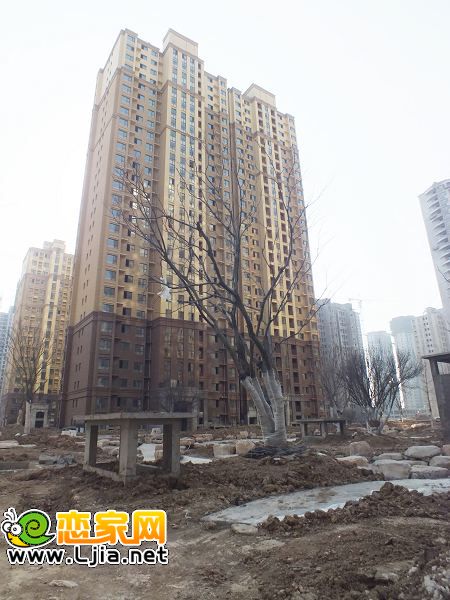 阿爾卡迪亞工地實(shí)景