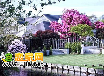 新西蘭