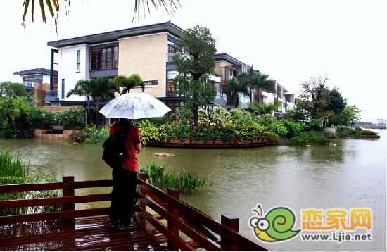 雨中的御海東郡