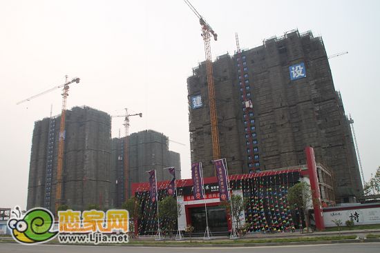 左岸楓橋工程進(jìn)度