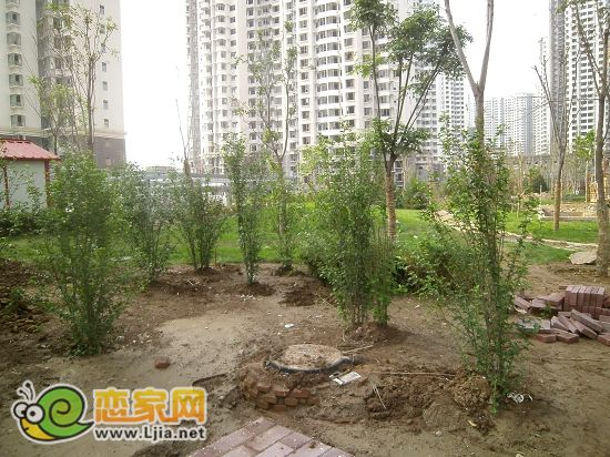 趙都新城2號(hào)地尚和園小區(qū)綠化