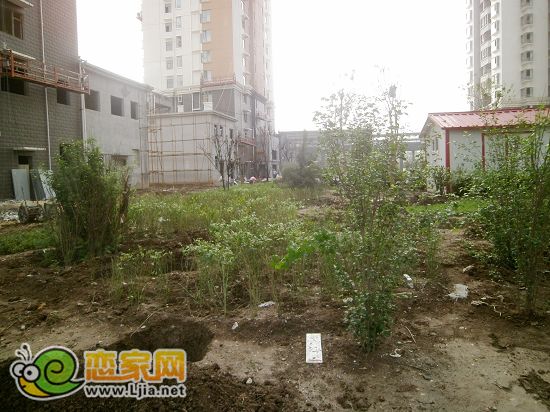 趙都新城2號(hào)地尚和園小區(qū)綠化