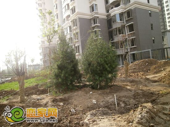 趙都新城2號(hào)地尚和園小區(qū)綠化