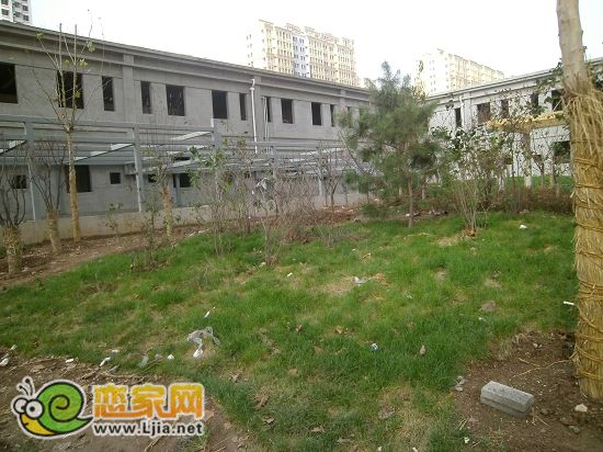 趙都新城2號(hào)地尚和園小區(qū)綠化