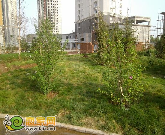 趙都新城2號(hào)地尚和園小區(qū)綠化