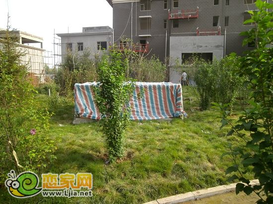 趙都新城2號地尚和園小區(qū)綠化
