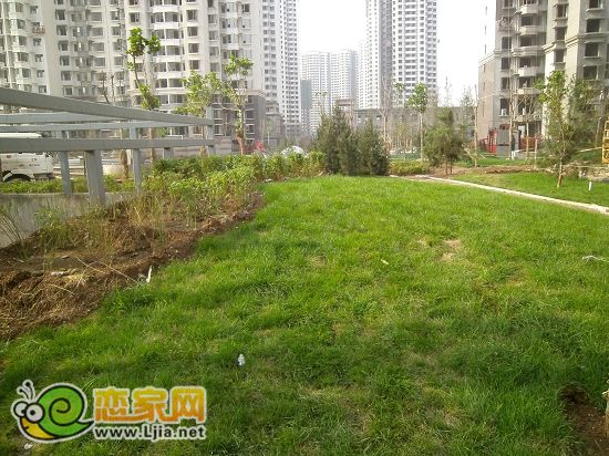 趙都新城2號地尚和園小區(qū)綠化