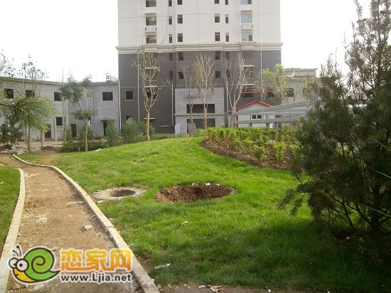 趙都新城2號地尚和園小區(qū)綠化
