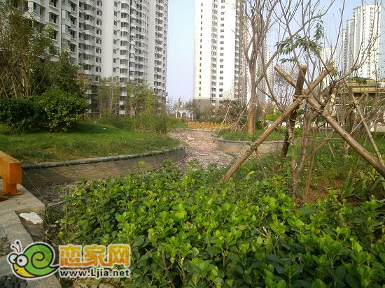 趙都新城5號地綠和園小區(qū)水景