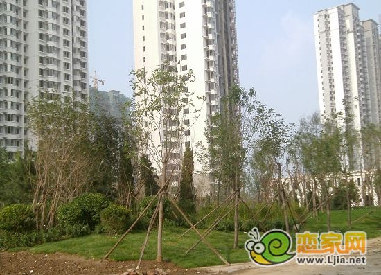 趙都新城5號(hào)地綠和園小區(qū)景觀