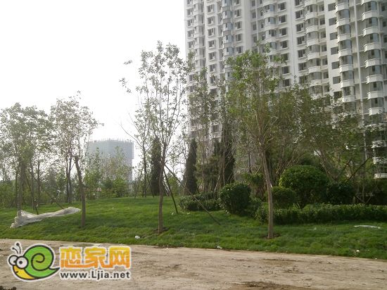 趙都新城5號(hào)地綠和園小區(qū)景觀