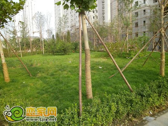 趙都新城5號(hào)地綠和園小區(qū)景觀