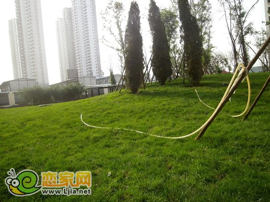 趙都新城5號(hào)地綠和園小區(qū)景觀