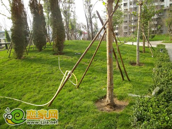 趙都新城5號(hào)地綠和園小區(qū)景觀