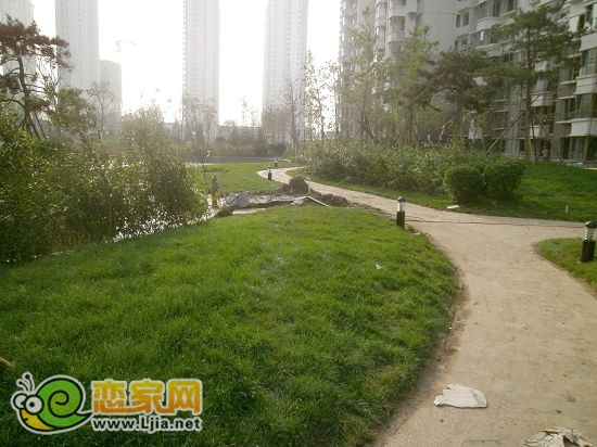 趙都新城5號(hào)地綠和園小區(qū)景觀