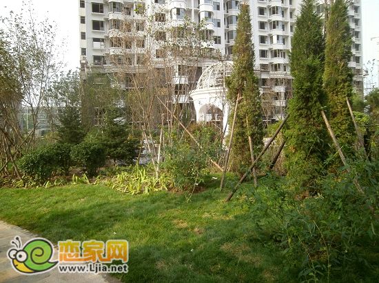 趙都新城5號(hào)地綠和園小區(qū)景觀