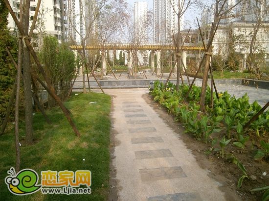 趙都新城5號(hào)地綠和園小區(qū)景觀
