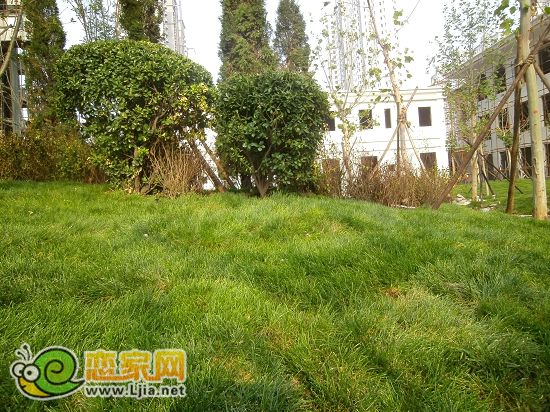 趙都新城5號地綠和園小區(qū)景觀