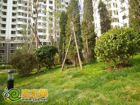趙都新城5號地綠和園小區(qū)景觀