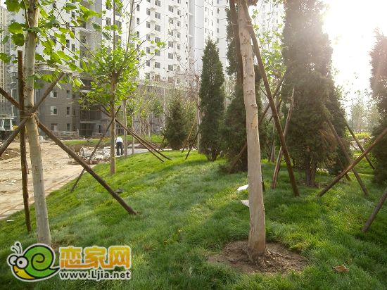 趙都新城5號地綠和園小區(qū)景觀
