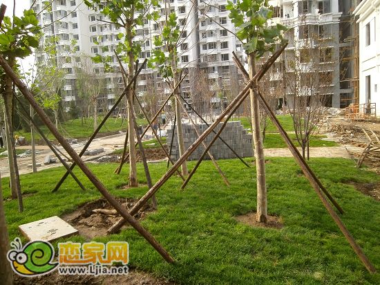 趙都新城5號地綠和園小區(qū)景觀