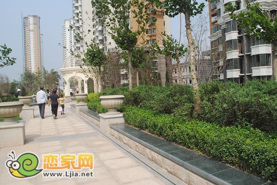 業(yè)主們絡繹不絕的來參觀自己家的小院