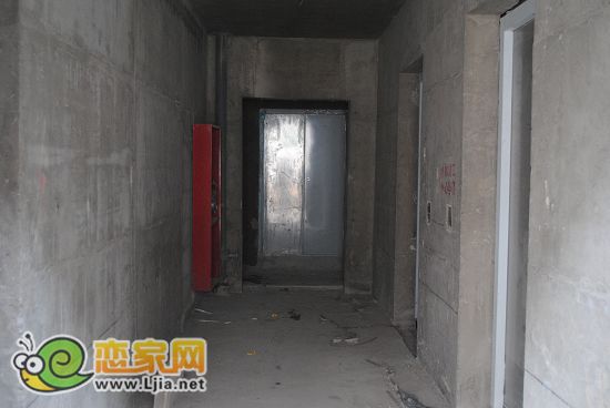單元走廊，電梯口，2T3戶