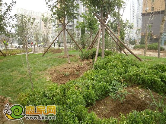 趙都新城尚和園：小區(qū)景觀正在進(jìn)行，8月底可全部完工