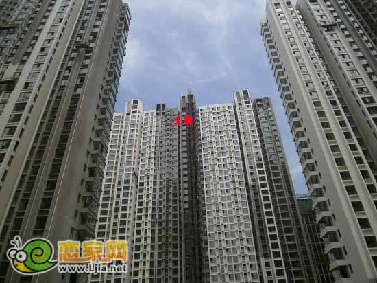 旺角花園住宅項(xiàng)目：1#工程進(jìn)度