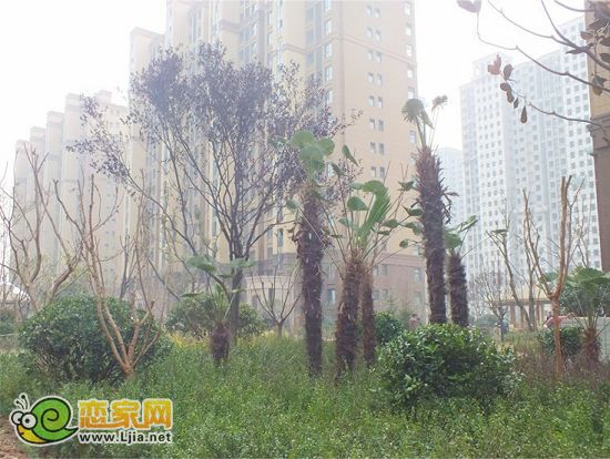 小區(qū)秀麗的環(huán)境