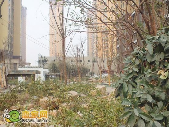 小區(qū)秀麗的環(huán)境