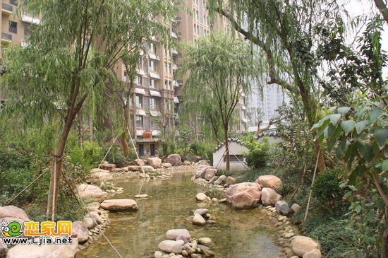 阿爾卡迪亞碧水灣實(shí)景